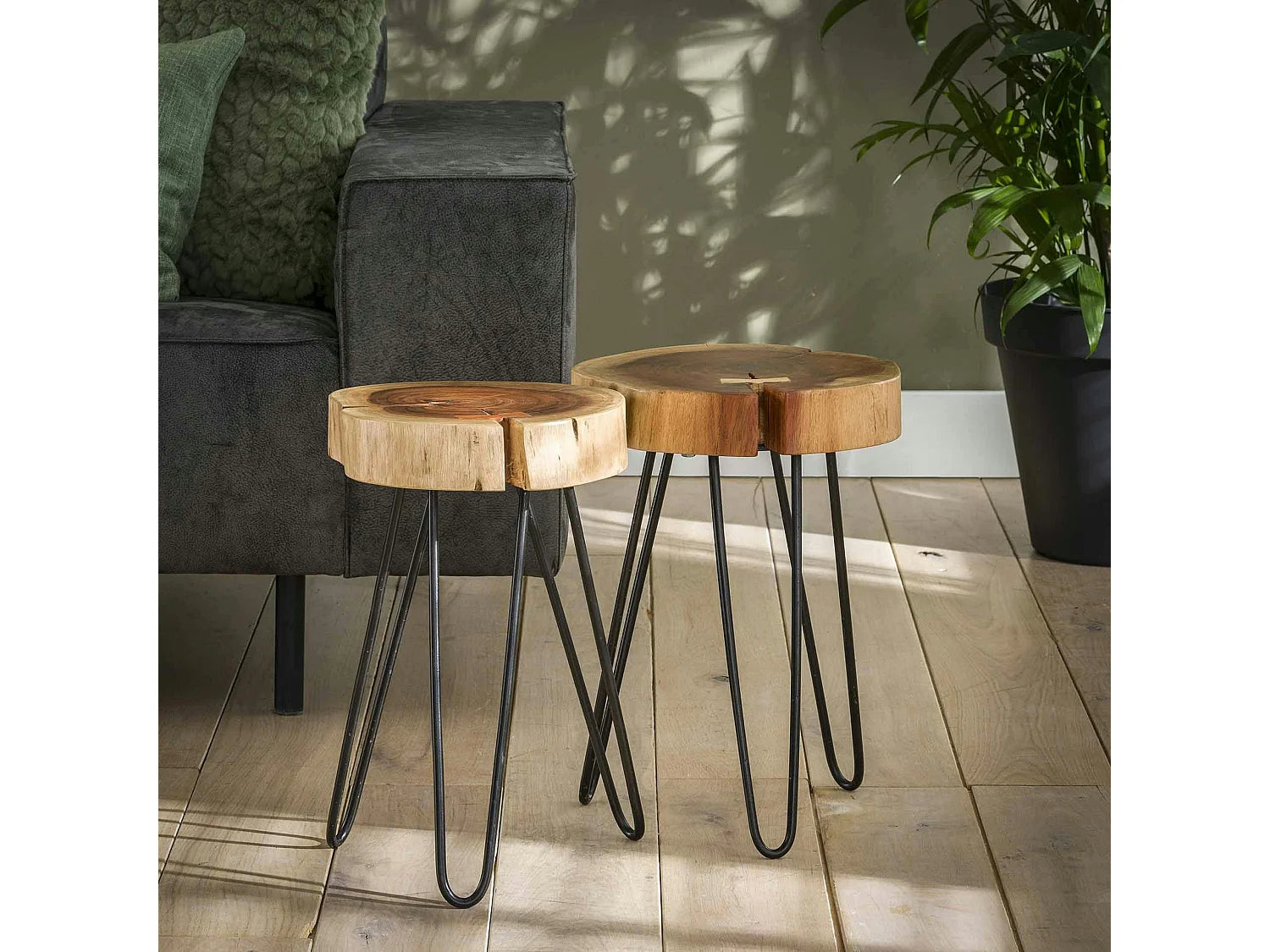 Bout de canapé tronc en acacia massif beige – SOUCHE